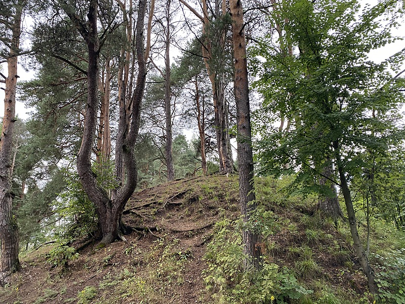 Курганы